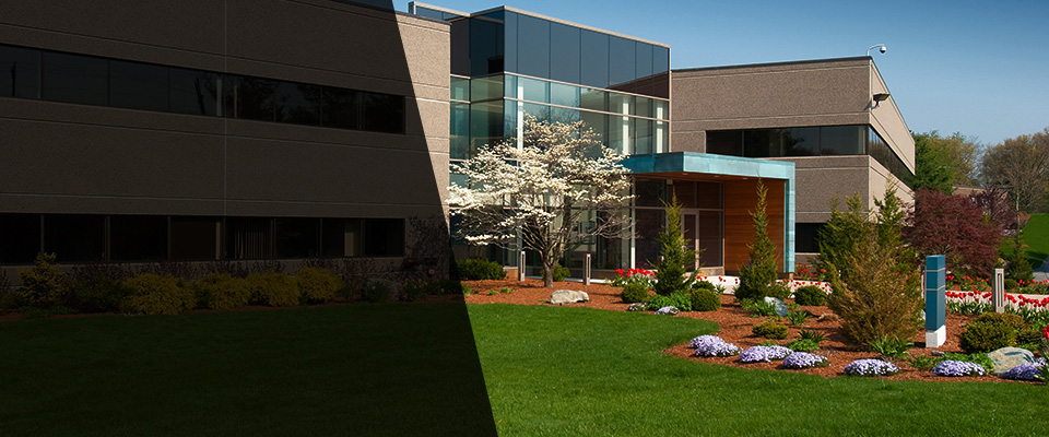 Waymart Landscapers