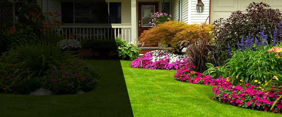 Waymart Landscapers