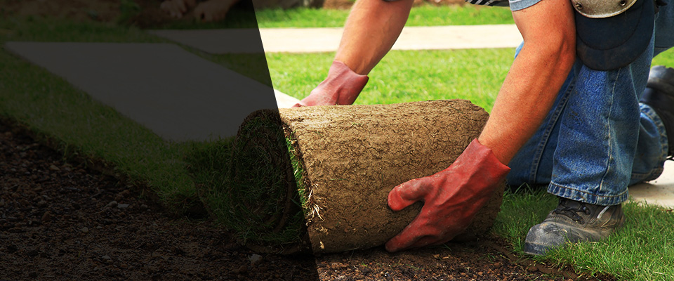 Waymart Landscapers